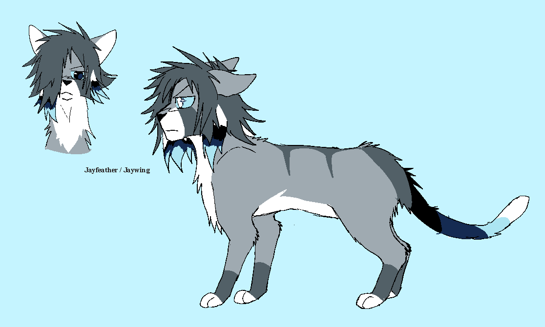 jayfeather reference